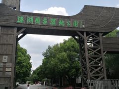 门面-溱湖国家湿地公园