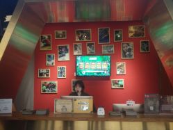 -未来动物城主题公园(正弘城店)