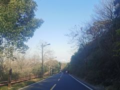 -宝界山林公园