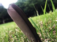 -白塘生态植物园