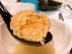 -鲜入围煮花胶鸡海鲜火锅