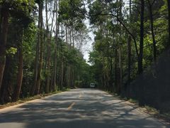 -广州市帽峰山景区
