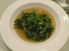 -茹·pure vegan(博华广场店)