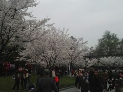 -堤角公园