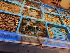 -青岛蓝海御华大饭店（金沙滩店）·蓝钻国际美食自助百汇