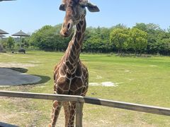 -宁波野生动物园
