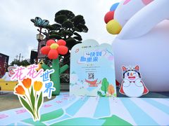 -七彩云南欢乐世界