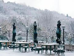 -济南喜来登酒店