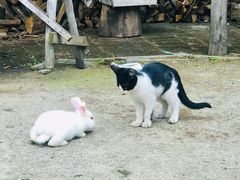 -庆岭迎宾园正宗活鱼馆