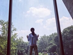 -知美术馆