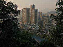 -福道