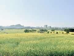 -光明小镇欢乐田园