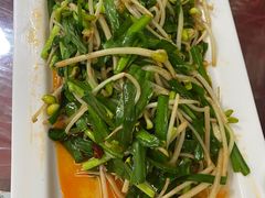 -马白开来特色羊排揪片子  (总店)