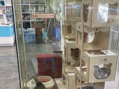 -暖阳宠物医院·犬猫康复中心·骨科