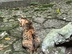 -小雅青年旅舍(平江路店)