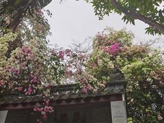 -深圳国际园林花卉博览园