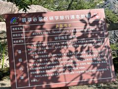 -黄山翡翠谷景区