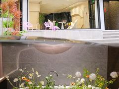 -小仙女采耳·按摩·SPA(深圳旗舰店)