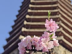 -玲珑塔公园