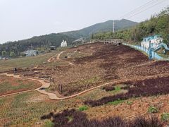 -瓷天下海丝谷