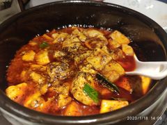 -陈麻婆豆腐总店