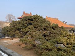-北陵公园