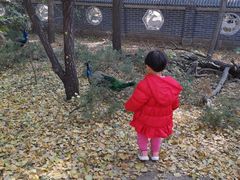 -北京麋鹿生态实验中心