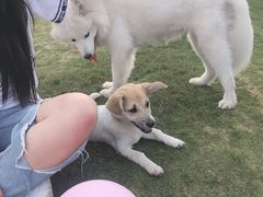 -栖露营camping·天幕烧烤·团建拓展·采摘营地