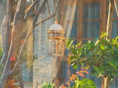 -Jo's Garden