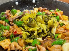 -聚鑫朋酸菜肥肠(九龙仓店)