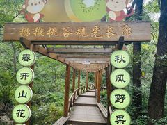 -大岭沟猕猴桃谷风景区