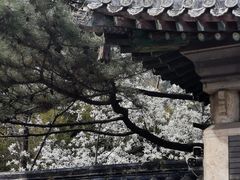 -潭柘寺景区