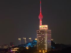 -武汉知音号