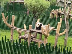-沈阳森林动物园