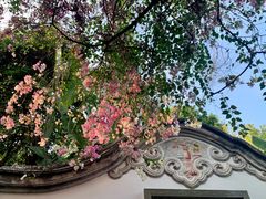 -深圳国际园林花卉博览园