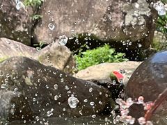 -雅鲁激流探险漂流