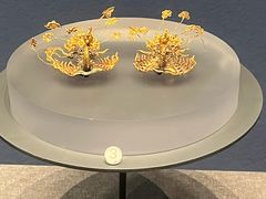 -广西壮族自治区博物馆