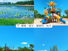 -东郊湿地公园
