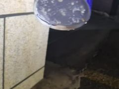-CHARLIETOWN红茶公司(南京万象天地店)