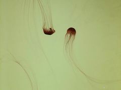 -沈阳海洋探索中心