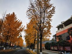 -四川大学(望江校区)
