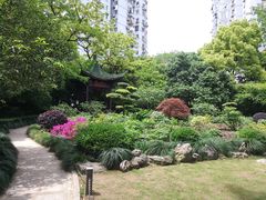 -南翔镇银翔湖公园