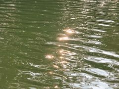 -梁鸿国家湿地公园