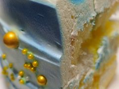 -维尔纳斯·生日蛋糕·动物奶油冰淇淋蛋糕(六里桥店)