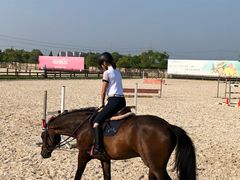 -松声马术俱乐部