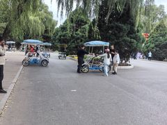 -北陵公园