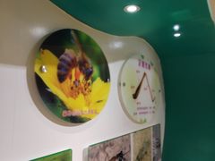 -上海昆虫博物馆