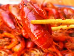 -隆康社长沙烧烤铺(桔园店)