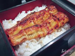 -昇鳗鱼家(浦东店)