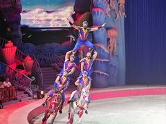 -海合安武汉极地海洋公园